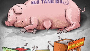 Giá tăng khiến chị heo trở nên sang chảnh