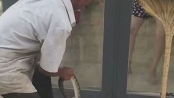 Người phụ nữ mếu máo, giữ chặt cửa khi bị dọa rắn