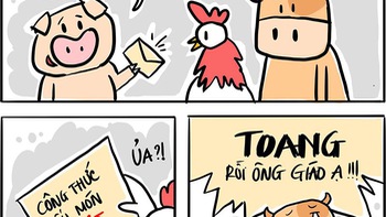 Toang rồi ông bò ạ