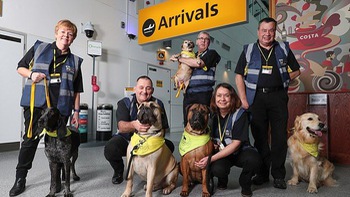 Sân bay Anh sử dụng chó "trị liệu" giúp hành khách vui vẻ