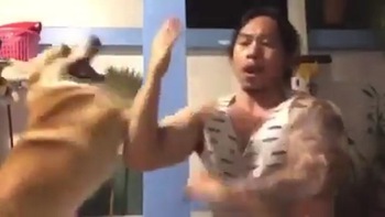 Bị cắn vào tay khi dùng kungfu giỡn đánh nhau với chó