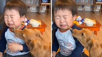 Em bé khóc mếu máo vì bị chú chó giành ăn