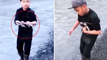 Cậu bé nhặt cá bên sông đến mỏi tay