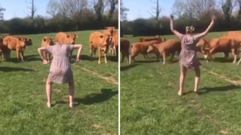 Cô gái với điệu nhảy làm đàn bò chạy tán loạn