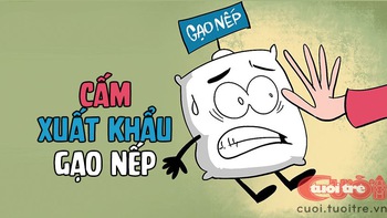 Cấm xuất khẩu gạo nếp!