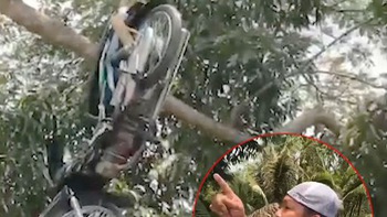 Người đàn ông đập vỡ điện thoại vì xe máy giấu trên cây tìm hoài không thấy