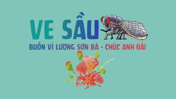 Sự tích con Ve Sầu