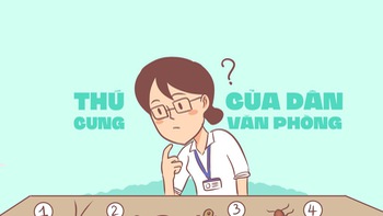 Dân văn phòng nuôi  thú cưng gì cho hợp phong thủy?