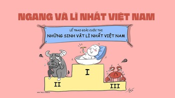 Ngang và lì nhất Việt Nam là đây