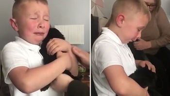 Cậu bé vỡ òa cảm xúc khi bất ngờ được tặng chú cún cưng khiến cả nhà bật khóc