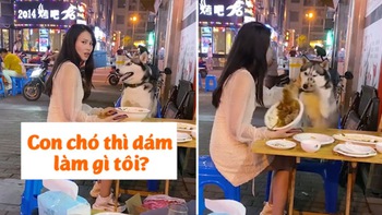 Cô gái 'coi thường' chú Husky và cái kết bị đổ cả tô thức ăn vào người