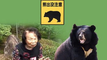 Bà ngoại 82 tuổi tay không đánh đuổi gấu ở Hiroshima