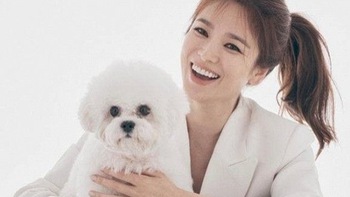 Không còn im lặng cho qua, Song Hye Kyo đã chịu lên tiếng về tin đồn tái hợp Hyun Bin
