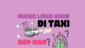 Gặp nạn vì mang lồng chim đi taxi