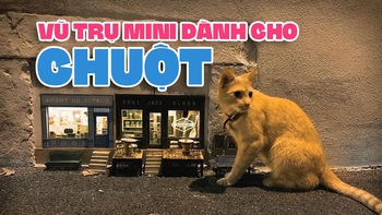 Vũ trụ song song dành cho chuột trên đường phố châu Âu