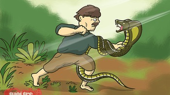 Cuộc chiến với rắn hổ mang chúa của người đàn ông Tây Ninh