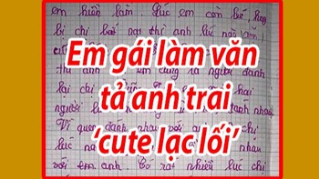 Cô bé tập làm văn tả anh trai: chân to do di truyền từ bố, đánh chị để bênh em, hay chém gió, sở hữu IQ trong top cao nhất TG