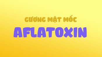Gương mặt mốc Aflatoxin