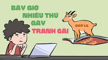 Trên mạng giờ thấy nhiều thứ gây tranh cãi, từ nghỉ Tết đến linh vật SEA Games