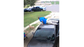 Người đàn ông ngồi lì trên nóc ôtô khi thấy chó