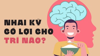 Nhai kỹ có lợi cho trí não?