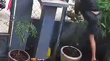 Trộm chim ngoan cố bị chó dữ rượt, phải nhảy tường rào thoát thân
