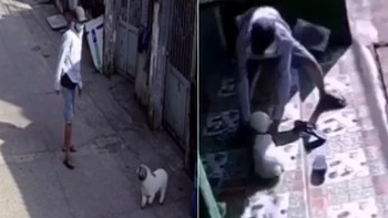 Hai thanh niên trộm chó cảnh trong hẻm Sài Gòn