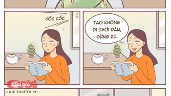 NOEL này không đi chơi đâu, đừng có mà rủ