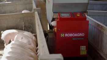 Doanh số bán robot chăn lợn phát nhạc cổ điển tăng vọt vì dịch COVID-19