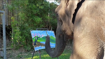 Chú voi thể hiện tài năng vẽ tranh siêu đỉnh