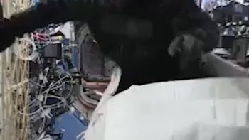 Phi hành gia mặc đồ khỉ đột náo loạn trạm vũ trụ