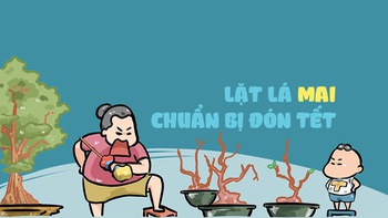 Ký ức tuổi thơ: Lặt lá mai đón Tết