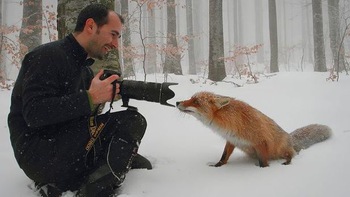 Khi nhiếp ảnh gia bị động vật hoang dã 'làm phiền'