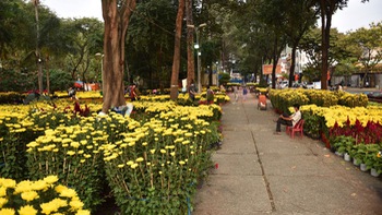 Hoa Tết tràn phố Sài Gòn, chờ khách đem xuân về nhà