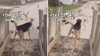 'Tụi mày quay lại đi! Tết năm sau tao về nữa'