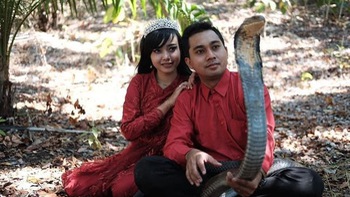 Cặp đôi bị chỉ trích vì chụp ảnh cưới cùng rắn hổ mang