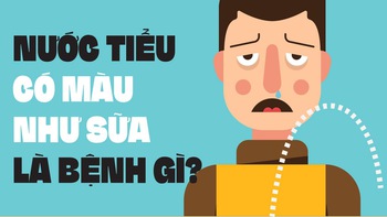 Nước tiểu có màu như sữa là bệnh gì?