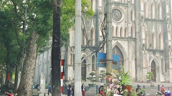 Nhiều cột điện ở Hà Nội 'nở hoa' trong ngày 8-3