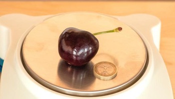 Quả cherry bự nhất thế giới