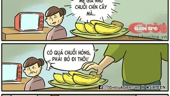 Mẹ già như chuối chín cây, và mẹ cũng rất nhạy cảm nữa