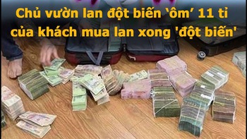 Vua Còm 15/4: Chủ vườn lan đột biến ôm 11 tỉ rồi... 'đột biến'