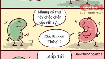 Đậu đỏ khỏe hơn đậu xanh