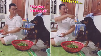 Chú chó tủi thân khi xin miếng ăn bị Sen mắng