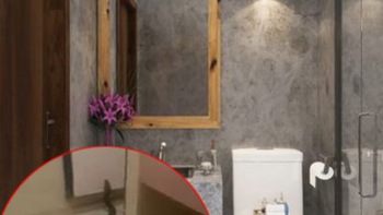 Nhân viên quán cà phê phát hoảng với con trăn 5 mét trong toilet