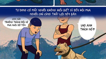 Mua pitbull trưởng thành không khác gì sở hữu 'bom nổ chậm'