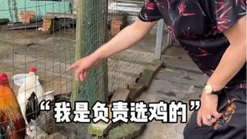 ‘Thái giám' phim 'Khang Hy vi hành' giàu có từ việc nuôi gà