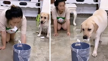 Cô chủ dạy chó cưng vứt rác đúng chỗ