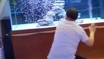 Người đàn ông múa quyền 'điều khiển' đàn cá trong bể kính