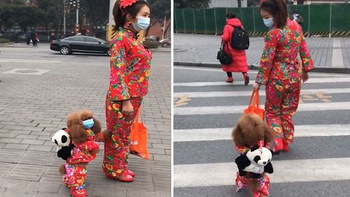 Cún cưng đeo balô cùng cô chủ đi dạo phố