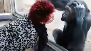 Trót yêu tinh tinh, người phụ nữ bị cấm đến sở thú